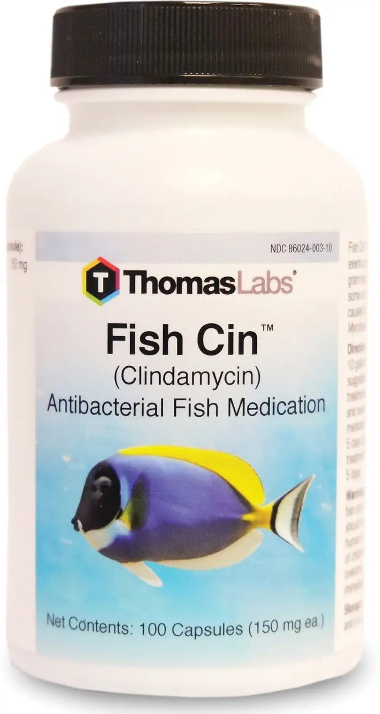 Thomas labs Clindamycin 150 mg Capsules - 100 Count