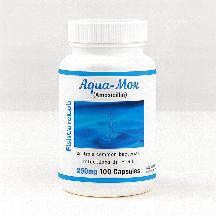 Aqua Mox amoxicillin 250mg 100 Capsules