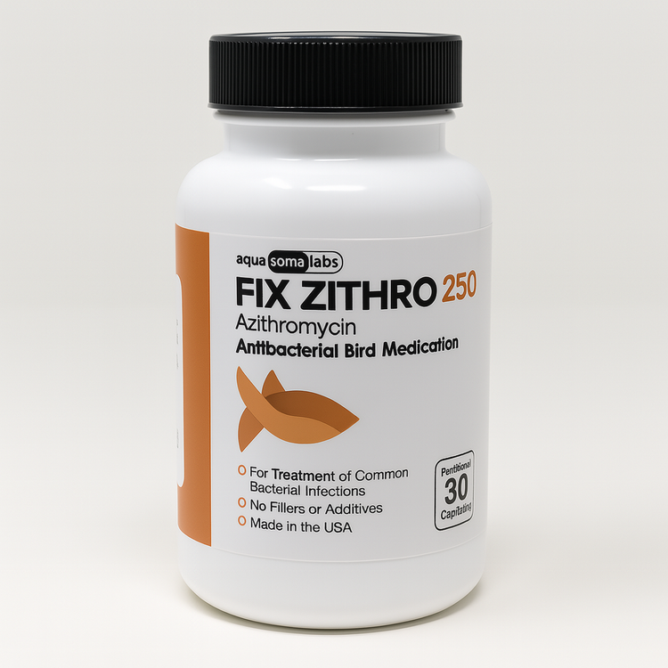 Fish Zithro - Azithromycin 250 mg Tablets - 30 Count