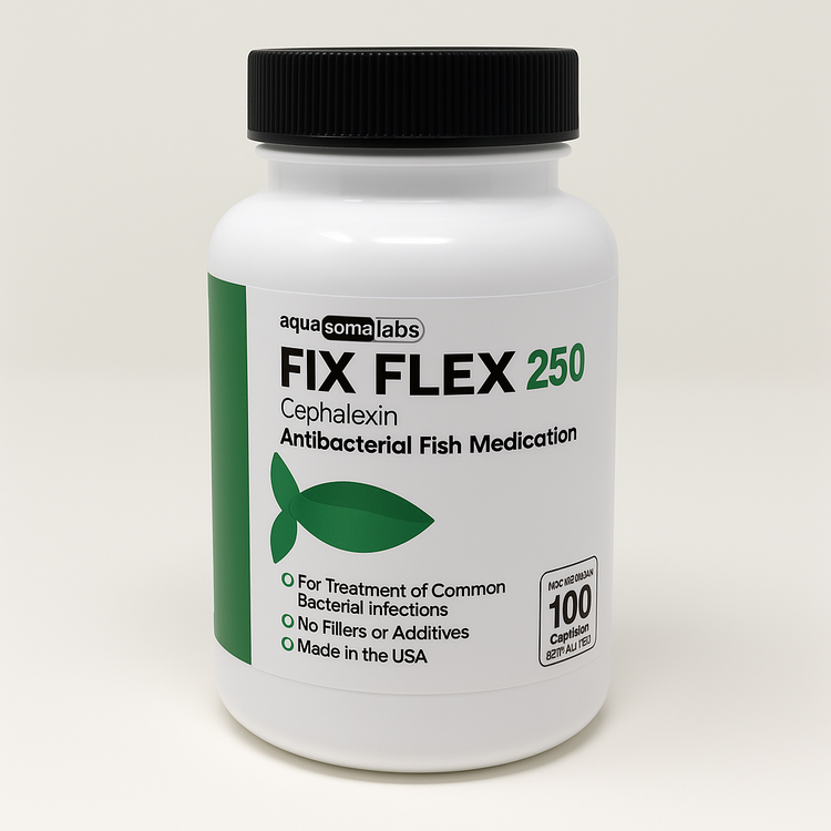 Fish flex 250mg 100 capsules - Fish antibiotics Cephalexin