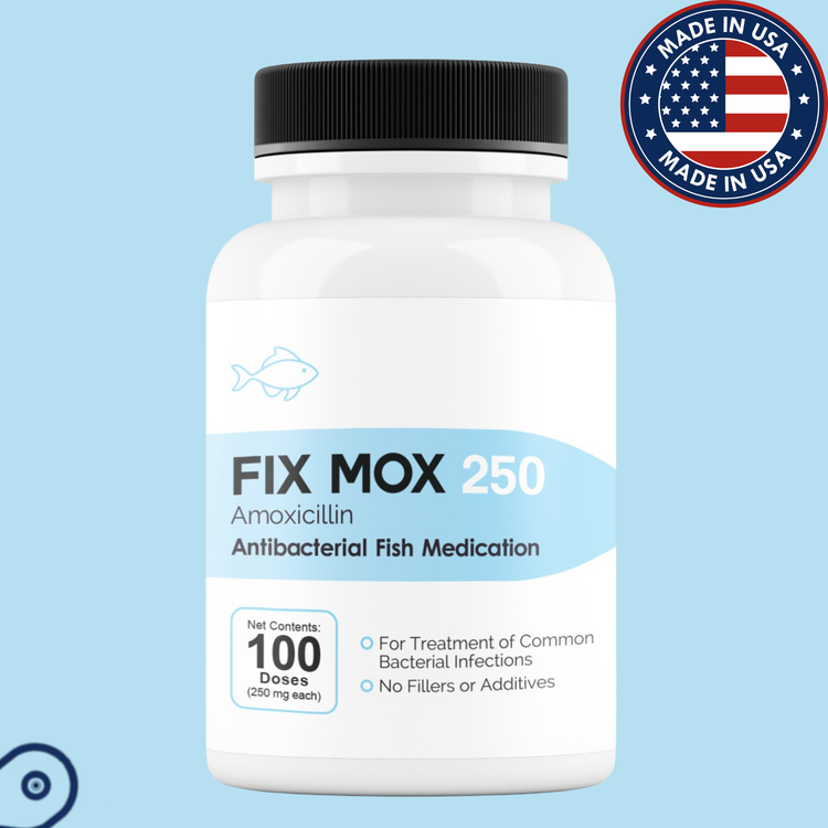 Aqua mox 250mg amoxicillin - 100 Count
