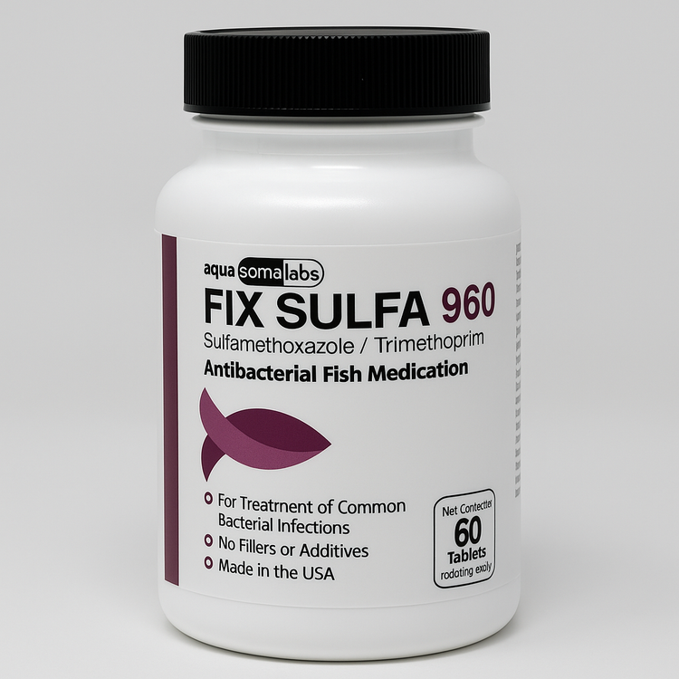 Fish Sulfamethoxazole /Trimethoprim 960mg 60 Tablets