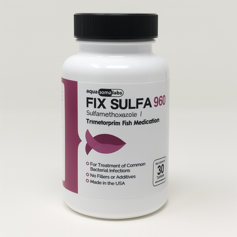 Fish Sulfamethoxazole /Trimethoprim 960mg 30 Tablets