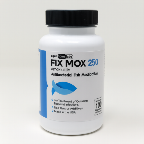 Fish Mox 250 mg