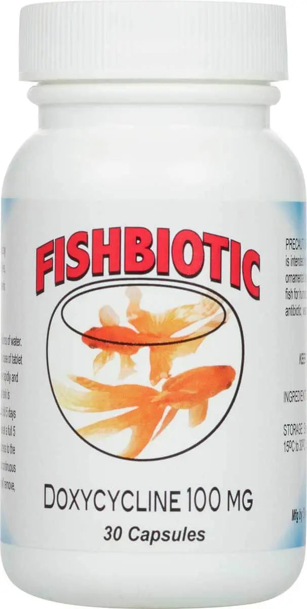 FIsh doxy 100mg