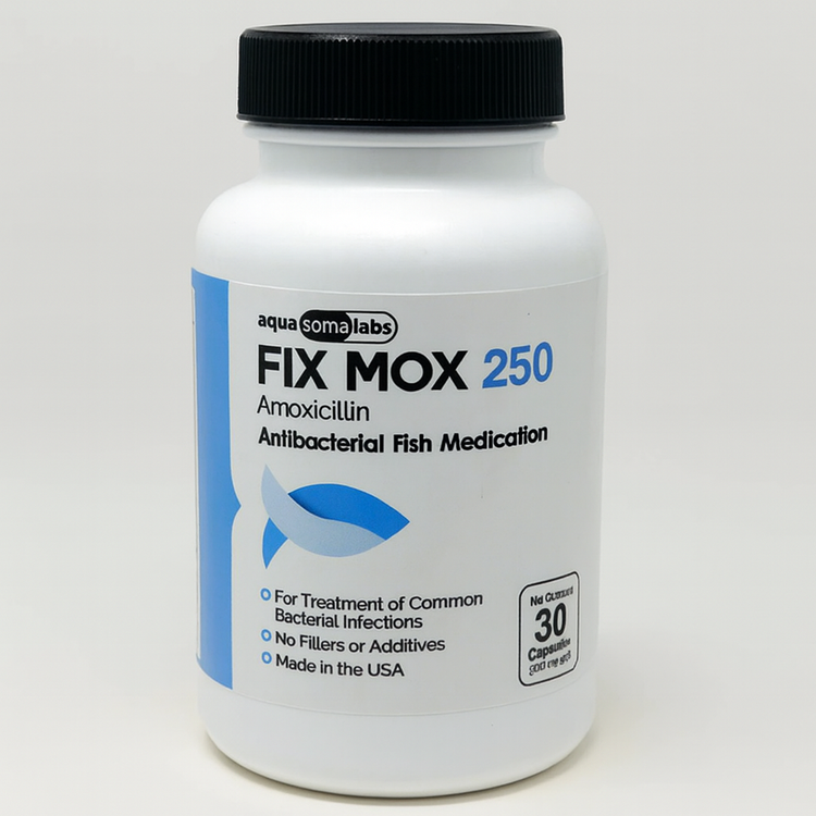 Fish mox 250mg 30 capsules - Fish antibiotics