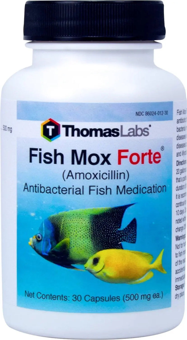 Fish Mox Forte - Amoxicillin 500 mg Capsules - 30 Count