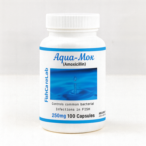 Aqua Mox amoxicillin 250mg 100 Capsules