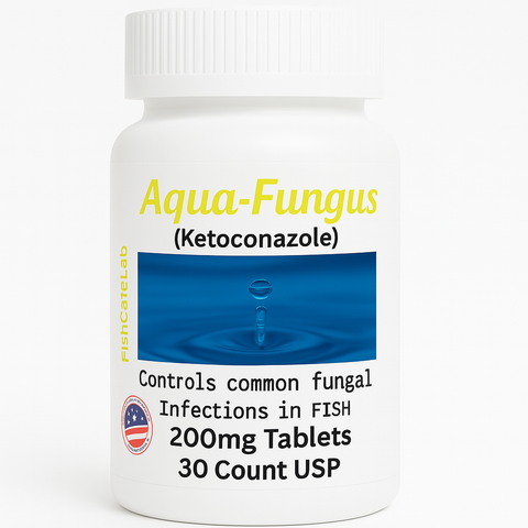 aquarium fungus medicine