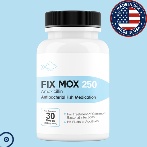Fish mox 250