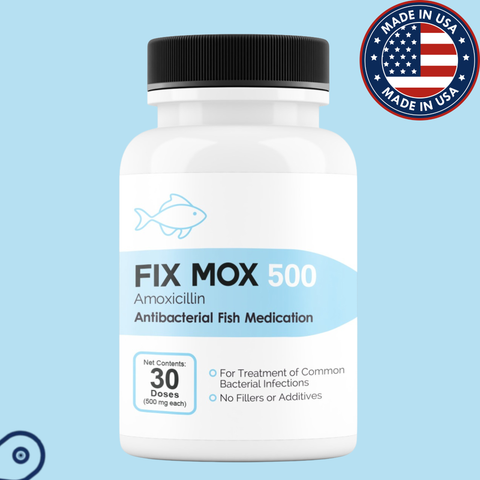 Fish Mox 500 30