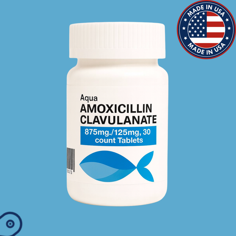 Fish Amoxicillin Clavulanate