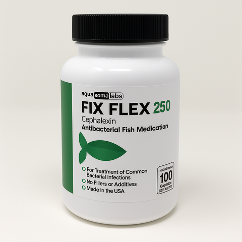 Fish flex 250mg 100 capsules - Fish antibiotics Cephalexin