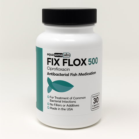 Fish flox forte  - Fish Ciprofloxacin antibiotics 30 capsules