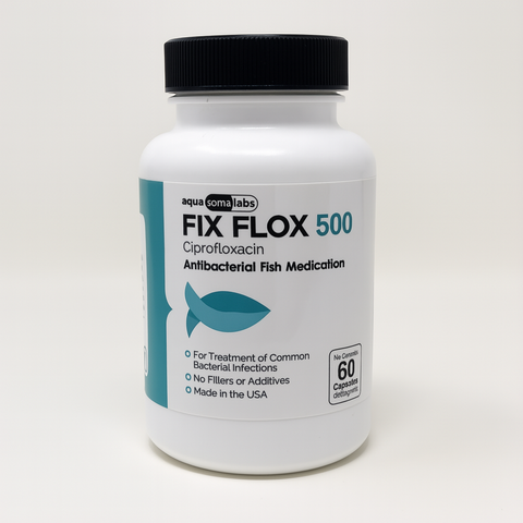Fish flox forte  - Fish Ciprofloxacin antibiotics 60 capsules