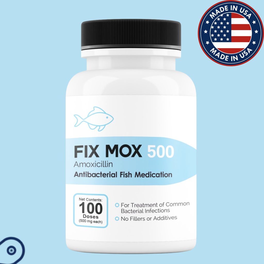 Fish Mox 500 100