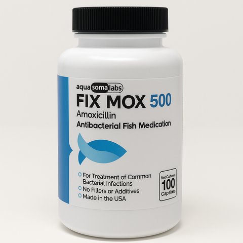 Fish mox forte  - Fish antibiotics amoxicillin 500mg 100 capsules