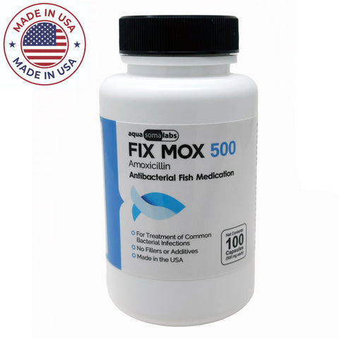 with fish mox forte  Capsules You can help your finned friends feel better and watch your aquarium thrive again from Fish Antibiotics. 