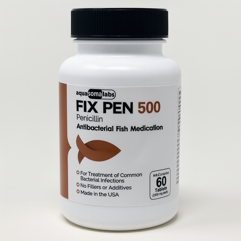 Fish Penicillin 500 mg Tablets - 60 Count