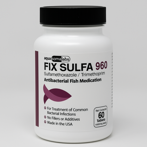 Fish Sulfamethoxazole /Trimethoprim 960mg 60 Tablets