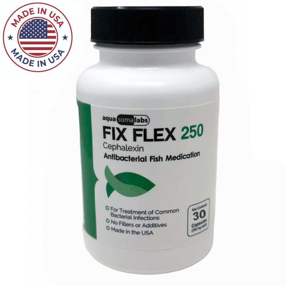 Looking for Fish Flex Cephalexin  250mg? We stock the latest expiration dates on USA-made fish antibiotics. Free shipping & lowest price guaranteed. Order now!