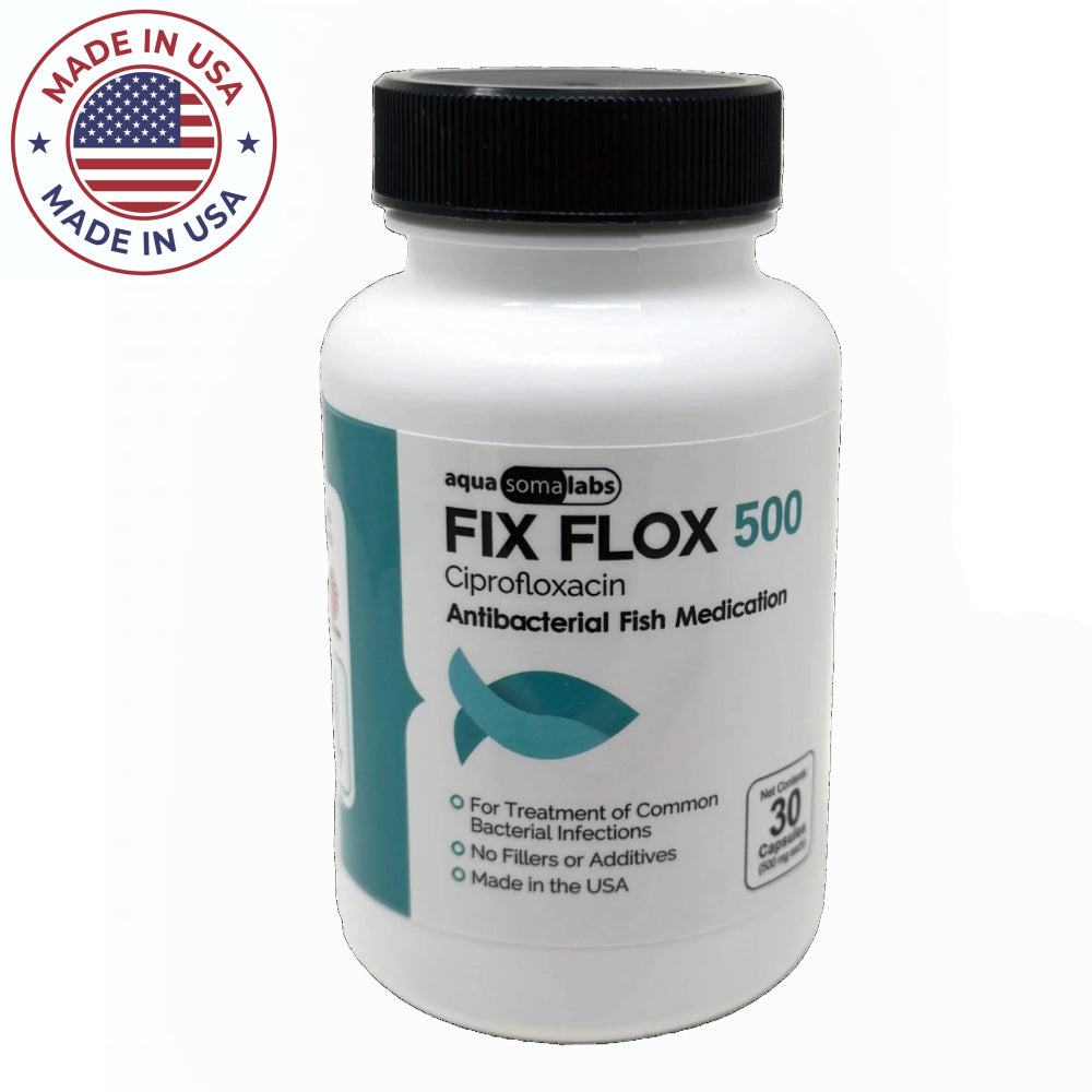 Fish flox forte  - Fish Ciprofloxacin antibiotics 30 capsules