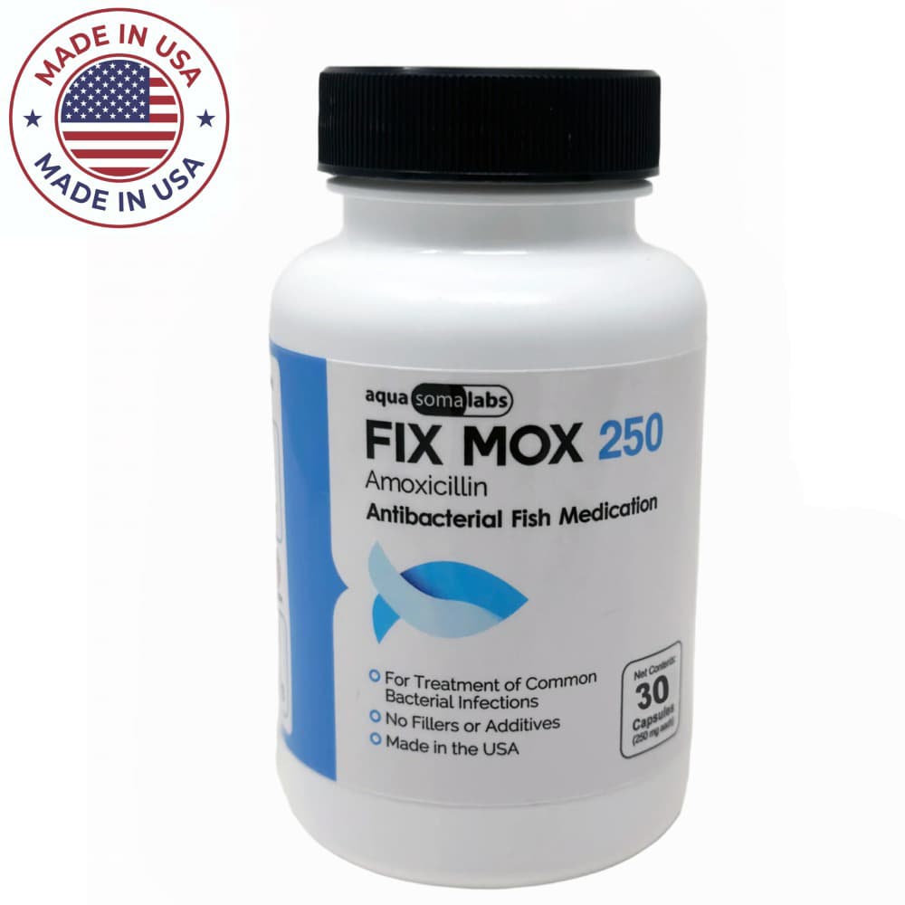 Buy Fish Mox (Fix Mox) 250mg fish antibiotics with free shipping! No prescription required. IN STOCK now—order before 2 p.m. for same-day shipping!