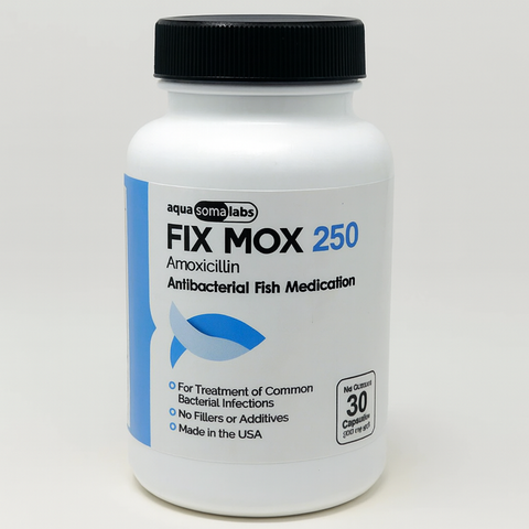Fish mox 250mg 30 capsules  - Fish antibiotics