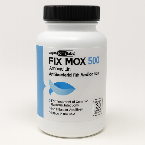 Fish Amoxicillin - 500mg 30 Capsules