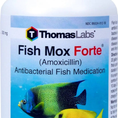 Fish Mox Forte - Amoxicillin 500 mg Capsules - 30 Count