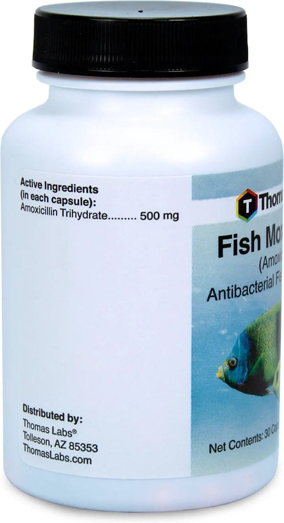 Fish Mox Forte - Amoxicillin 500 mg Capsules
